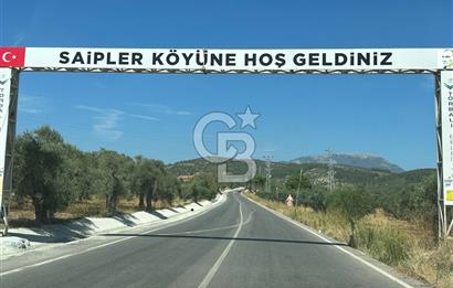 Torbalı Saipler Köyü 815 M2 Tarla Zeytinlik Ve Bağ