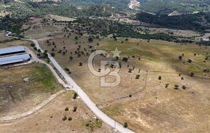 HAVRAN EĞMİR'DE ÇİFTLİK YAPIMINA UYGUN DÜZ ZEMİN SATILIK TARLA