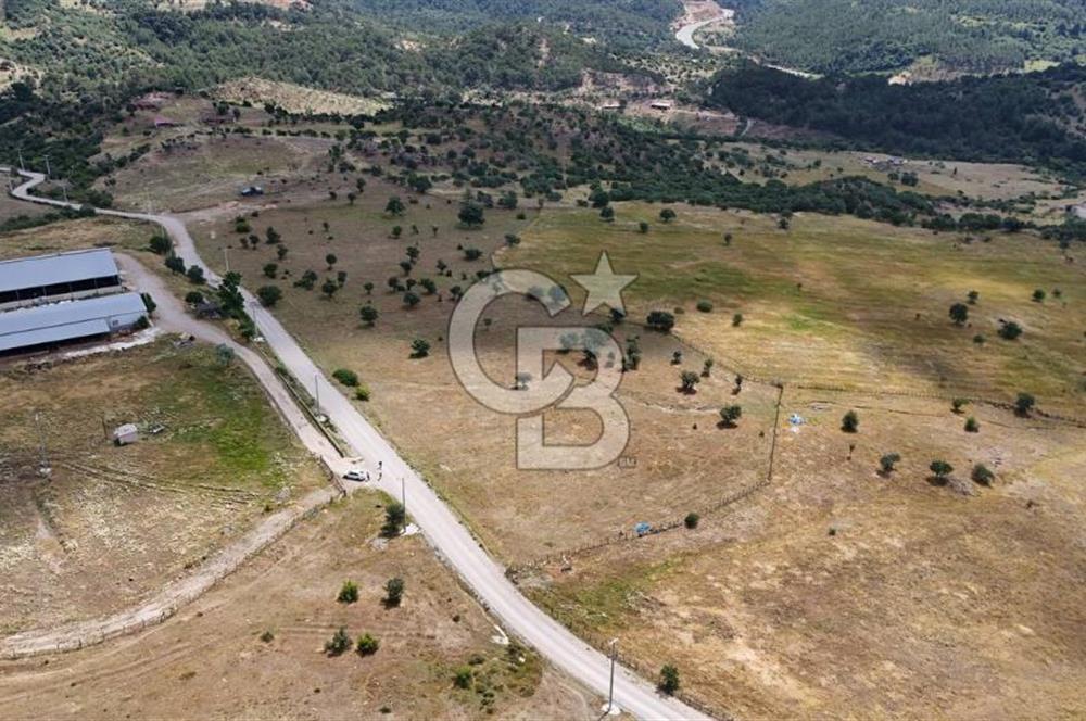 HAVRAN EĞMİR'DE ÇİFTLİK YAPIMINA UYGUN DÜZ ZEMİN SATILIK TARLA