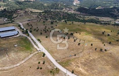 HAVRAN EĞMİR'DE ÇİFTLİK YAPIMINA UYGUN DÜZ ZEMİN SATILIK TARLA