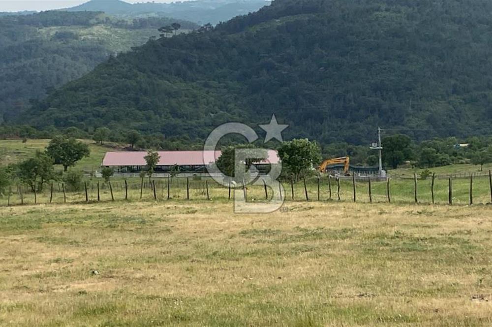 HAVRAN EĞMİR'DE ÇİFTLİK YAPIMINA UYGUN DÜZ ZEMİN SATILIK TARLA