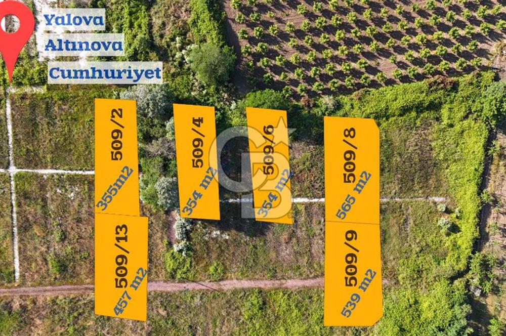 Yalova Altınovada Satılık Ticari İmarlı Arsalar!