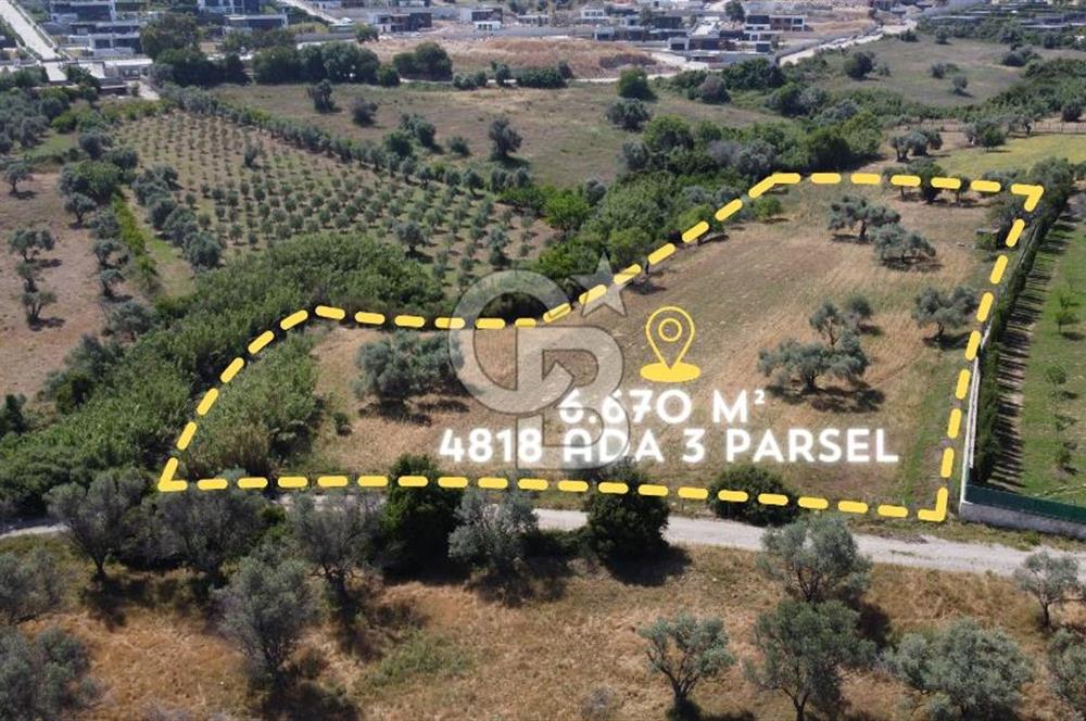 URLA KEKLİKTEPE'DE PROJELER BÖLGESİ'NDE SATILIK 6670 m2 ARAZİ