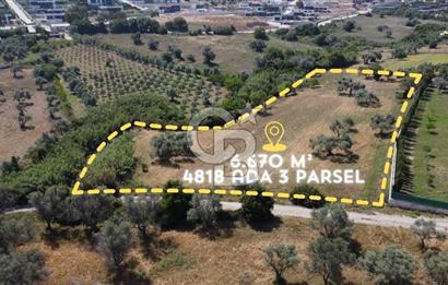 URLA KEKLİKTEPE'DE PROJELER BÖLGESİ'NDE SATILIK 6670 m2 ARAZİ