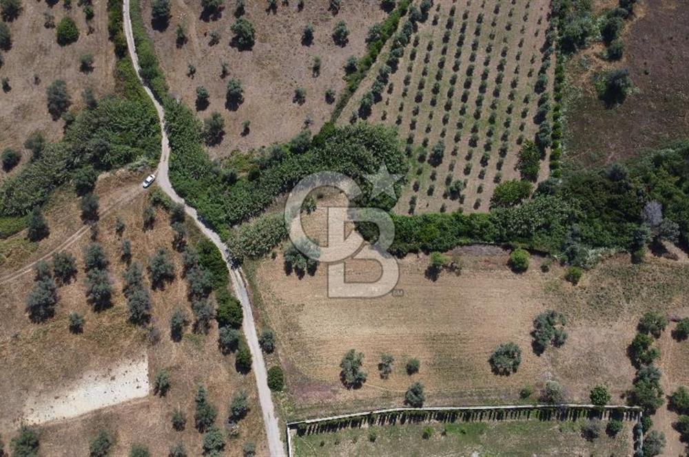 URLA KEKLİKTEPE'DE PROJELER BÖLGESİ'NDE SATILIK 6670 m2 ARAZİ