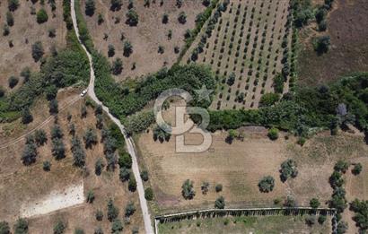 URLA KEKLİKTEPE'DE PROJELER BÖLGESİ'NDE SATILIK 6670 m2 ARAZİ