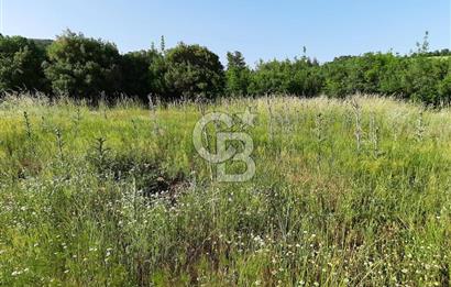 ÇANAKKALE BAYRAMİÇ HACIDERVİŞLER'DE ORGANİK TARIMA UYGUN ARAZİ