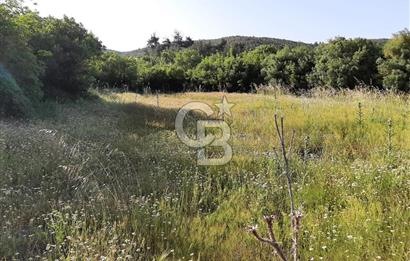 ÇANAKKALE BAYRAMİÇ HACIDERVİŞLER'DE ORGANİK TARIMA UYGUN ARAZİ