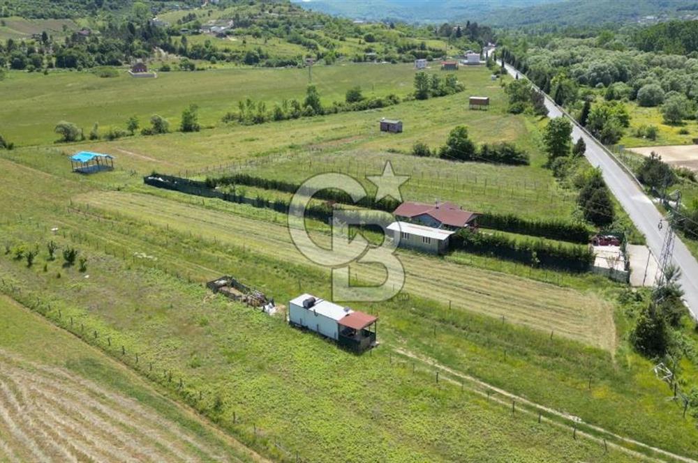 Şile Ağva Geredeli’de Ağva Merkeze Çok Yakın Anayol Üzeri Otobana Yakın Arazi