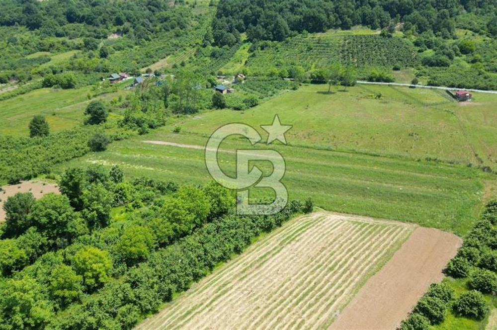 Şile Ağva Geredeli’de Ağva Merkeze Çok Yakın Anayol Üzeri Otobana Yakın Arazi