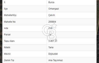 BURSA ORHANGAZİ ÇAKIRLI ZEYTİN AĞAÇLI TARLA