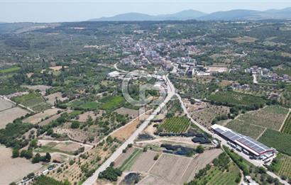 ÇANAKKALE LAPSEKİ UMURBEY' DE KAT KARŞILIĞI ARSA