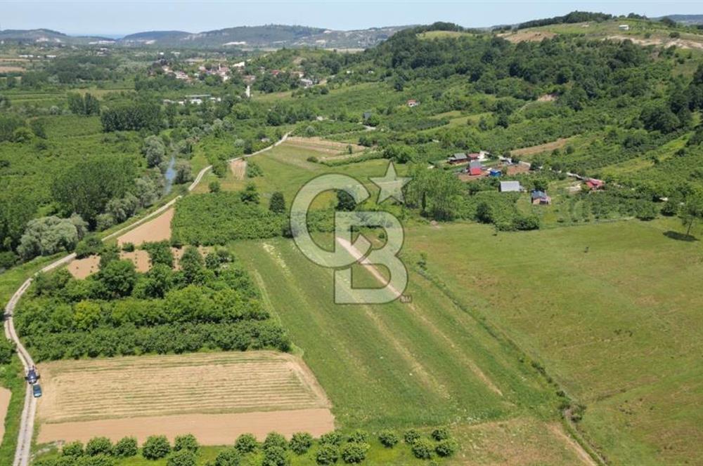 Şile Ağva Geredeli Köye Otobana Yakın Yolu Olan 2300m2 Bahçe