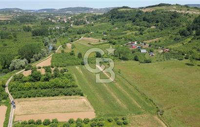 Şile Ağva Geredeli Köye Otobana Yakın Yolu Olan 2300m2 Bahçe