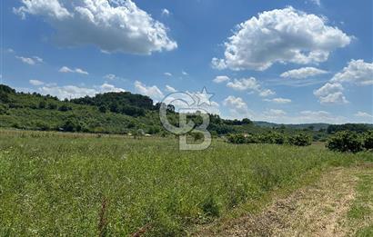 Şile Ağva Geredeli Köye Otobana Yakın Yolu Olan 2300m2 Bahçe