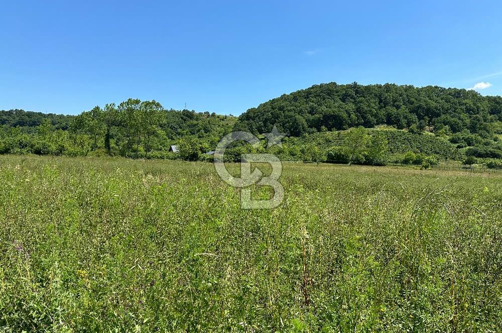 Şile Ağva Geredeli Köye Otobana Yakın Yolu Olan 2300m2 Bahçe