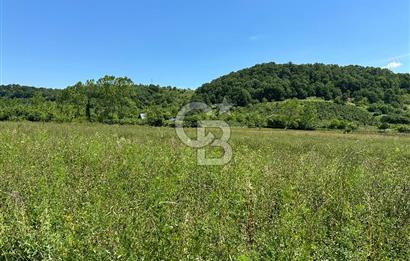 Şile Ağva Geredeli Köye Otobana Yakın Yolu Olan 2300m2 Bahçe