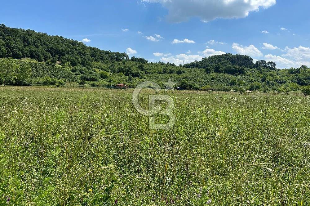 Şile Ağva Geredeli Köye Otobana Yakın Yolu Olan 2300m2 Bahçe