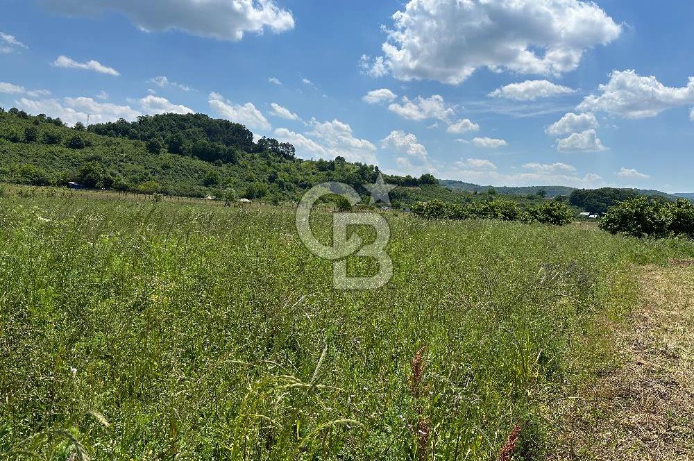 Şile Ağva Geredeli Köye Otobana Yakın Yolu Olan 2300m2 Bahçe