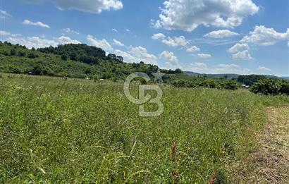 Şile Ağva Geredeli Köye Otobana Yakın Yolu Olan 2300m2 Bahçe