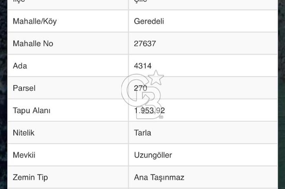 Şile Ağva Geredeli Köye Otobana Yakın Yolu Olan 2300m2 Bahçe