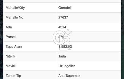 Şile Ağva Geredeli Köye Otobana Yakın Yolu Olan 2300m2 Bahçe