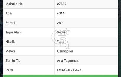 Şile Ağva Geredeli Köye Otobana Yakın Yolu Olan 2300m2 Bahçe