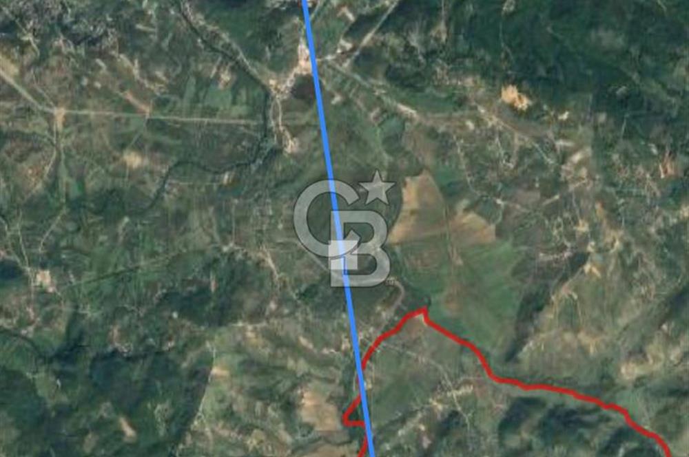 Şile Ağva Geredeli Köye Otobana Yakın Yolu Olan 2300m2 Bahçe