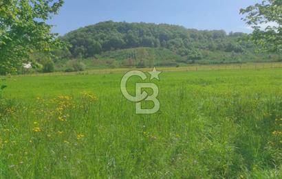 Şile Ağva Geredeli Köye Otobana Yakın Yolu Olan 2300m2 Bahçe