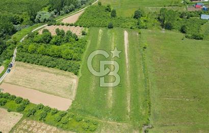 Şile Ağva Geredeli Köye Otobana Yakın Yolu Olan 2300m2 Bahçe