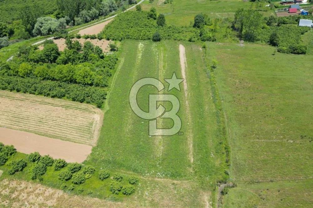 Şile Ağva Geredeli Köye Otobana Yakın Yolu Olan 2300m2 Bahçe