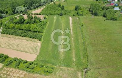 Şile Ağva Geredeli Köye Otobana Yakın Yolu Olan 2300m2 Bahçe