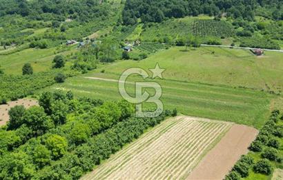 Şile Ağva Geredeli Köye Otobana Yakın Yolu Olan 2300m2 Bahçe