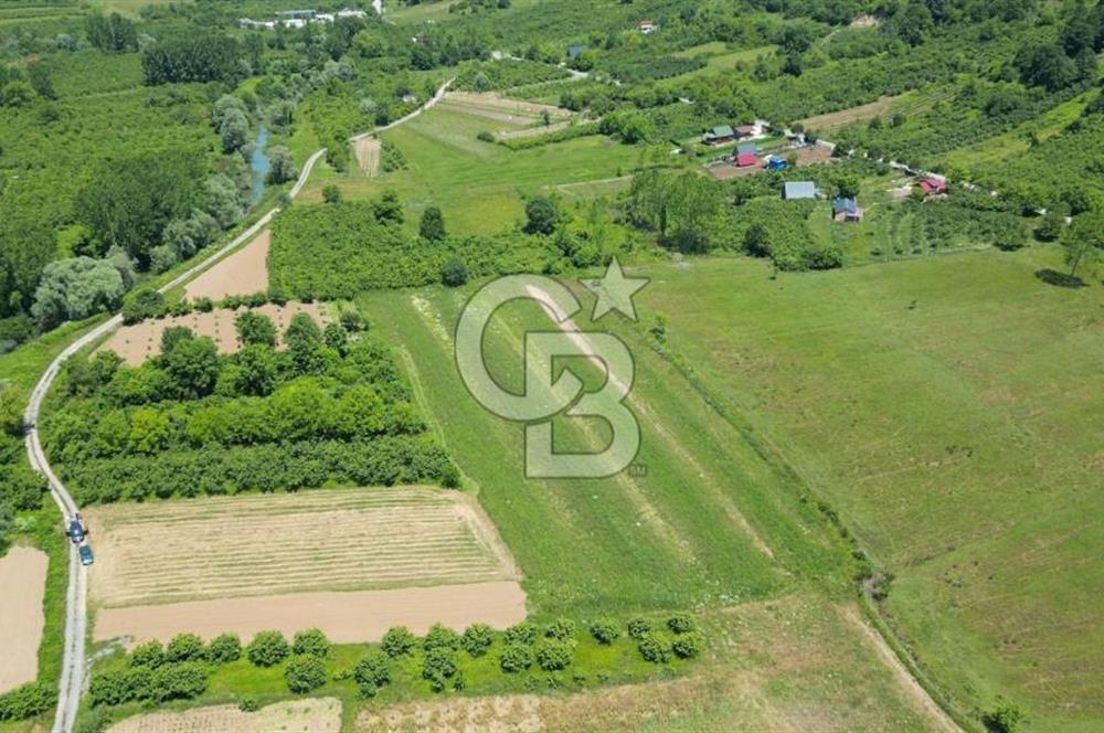 Şile Ağva Geredeli Köye Otobana Yakın Yolu Olan 2300m2 Bahçe