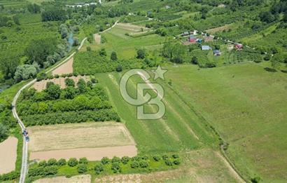 Şile Ağva Geredeli Köye Otobana Yakın Yolu Olan 2300m2 Bahçe