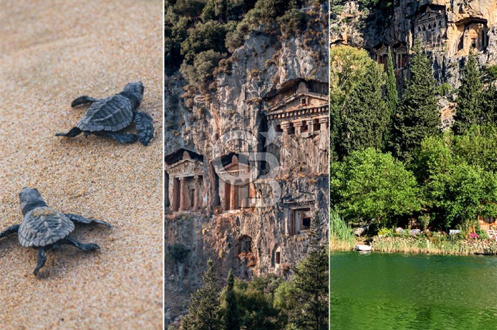 Dalyan Boğazı'nda Muhteşem Konumda Satılık Yarımada