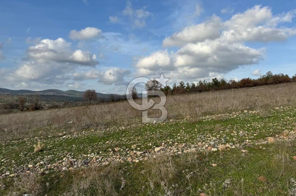 DOĞANCILAR'DA DOĞA İLE İÇİÇE İMARLI FIRSAT ARSA