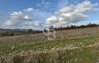 DOĞANCILAR'DA DOĞA İLE İÇİÇE İMARLI FIRSAT ARSA