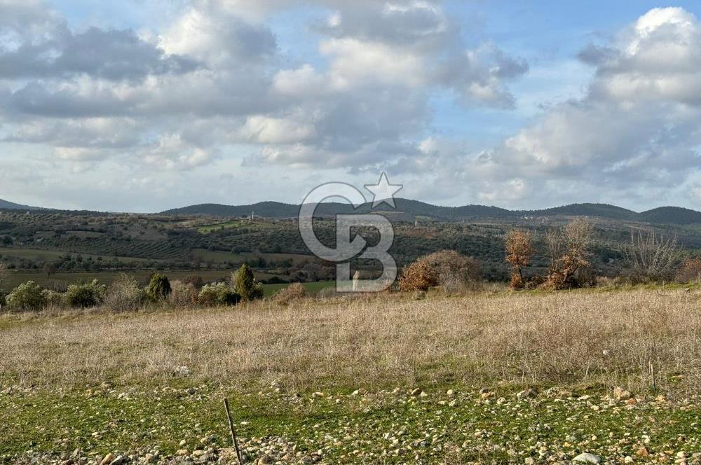 DOĞANCILAR'DA DOĞA İLE İÇİÇE İMARLI FIRSAT ARSA