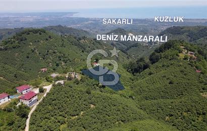 Deniz manzaralı İkizce'de Terme sınırında fındık bahçesi