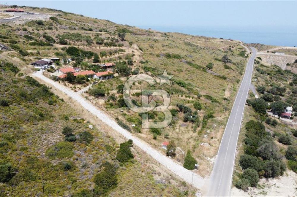 KARABURUN'DA DENİZ MANZARALI SATILIK ÇİFTLİK