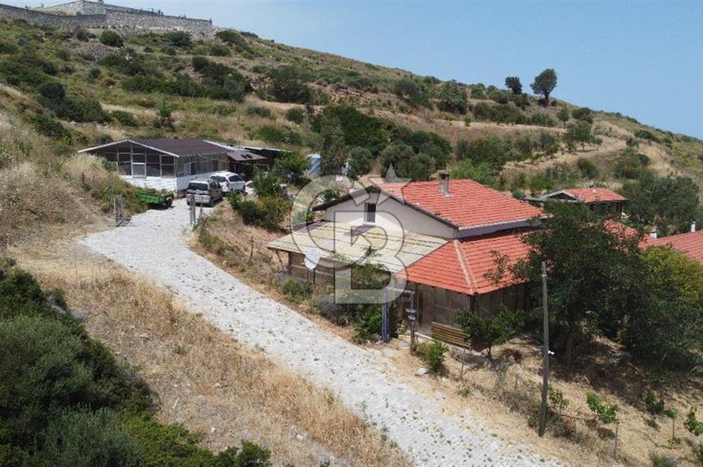 KARABURUN'DA DENİZ MANZARALI SATILIK ÇİFTLİK