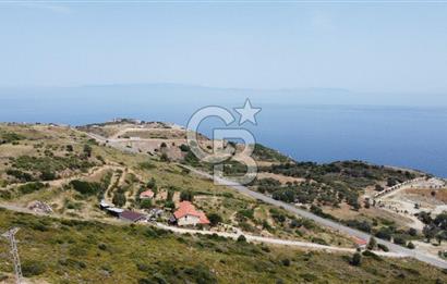 KARABURUN'DA DENİZ MANZARALI SATILIK ÇİFTLİK