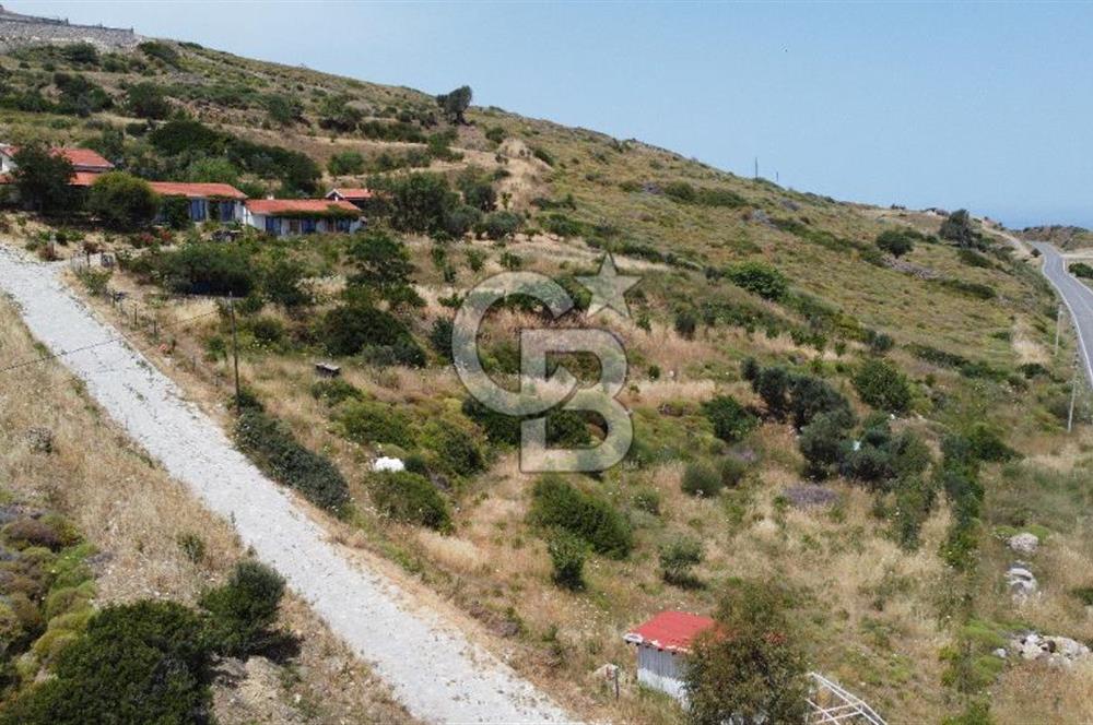 KARABURUN'DA DENİZ MANZARALI SATILIK ÇİFTLİK