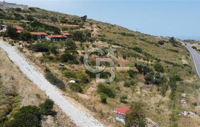 KARABURUN'DA DENİZ MANZARALI SATILIK ÇİFTLİK