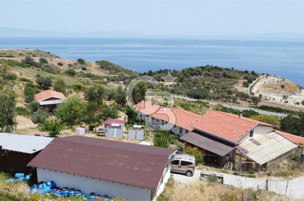 KARABURUN'DA DENİZ MANZARALI SATILIK ÇİFTLİK