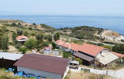 KARABURUN'DA DENİZ MANZARALI SATILIK ÇİFTLİK