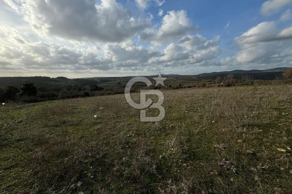 Bayramiç Doğancı Köyünde İmarlı arsalar