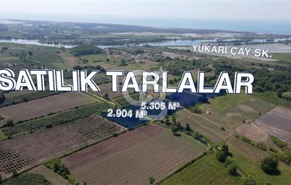 Kumtepe'de satılık tarlalar