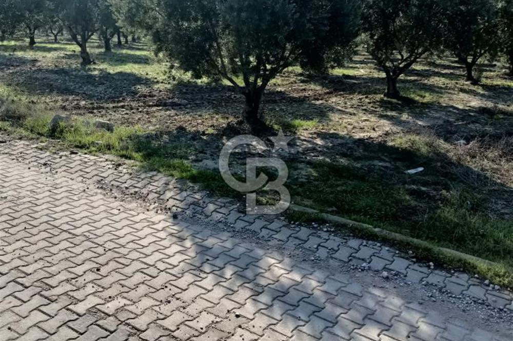 CB Ofis Manisa'dan Gülbahçe'de Satılık Arsa